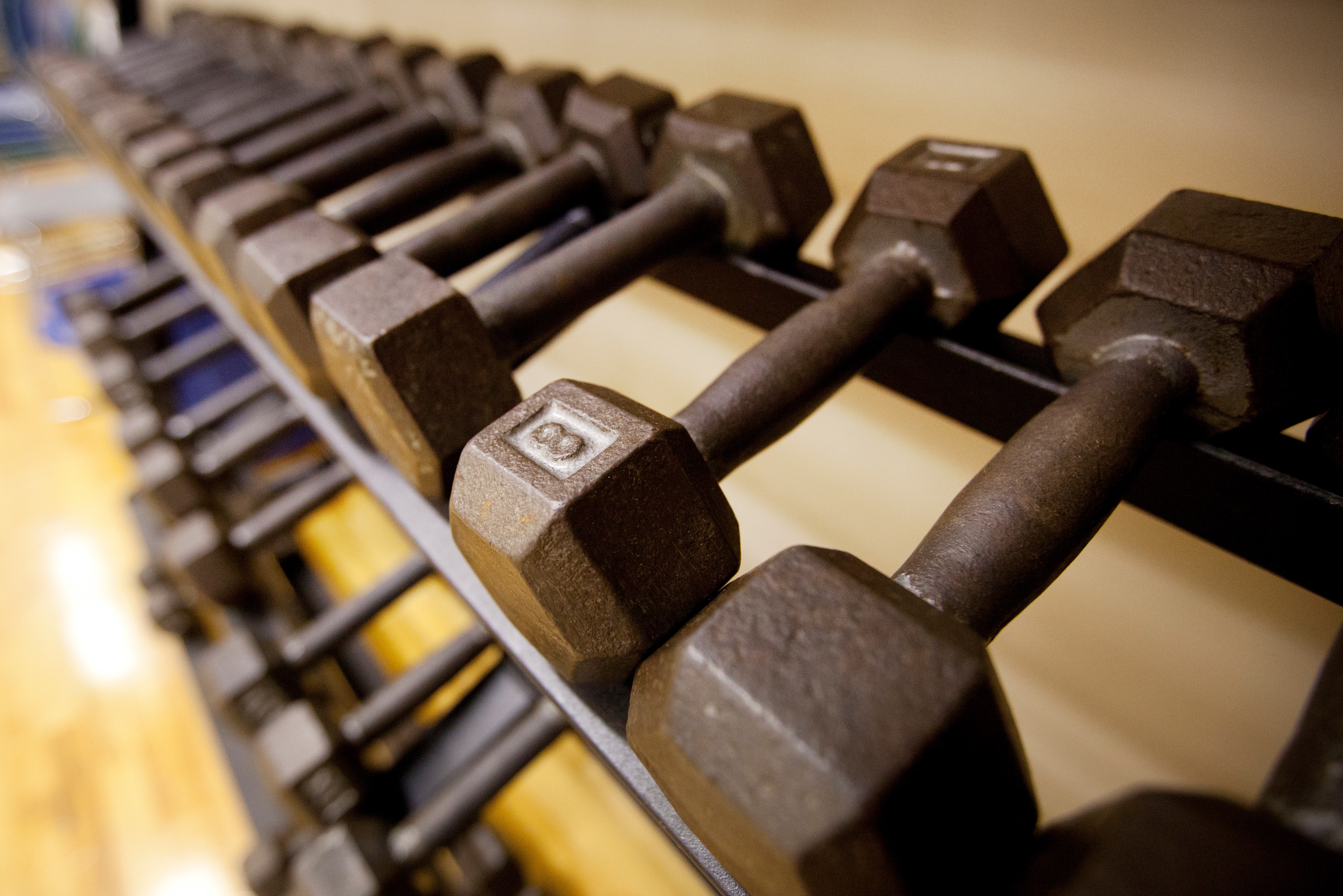 inside of a Gym with Weights